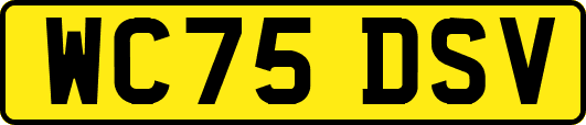 WC75DSV