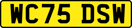 WC75DSW