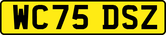 WC75DSZ