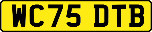 WC75DTB