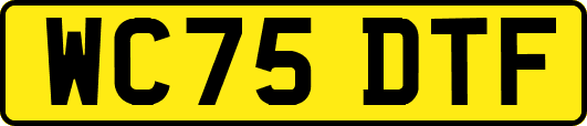 WC75DTF