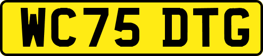 WC75DTG