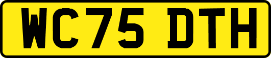 WC75DTH
