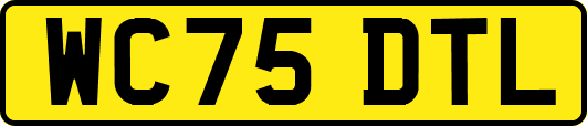 WC75DTL