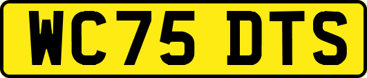WC75DTS