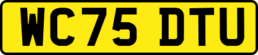 WC75DTU