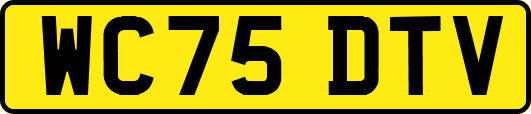 WC75DTV