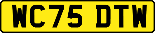 WC75DTW