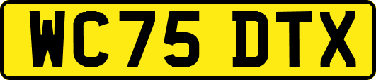 WC75DTX
