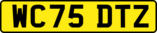 WC75DTZ