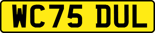 WC75DUL