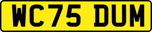 WC75DUM