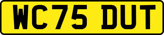WC75DUT