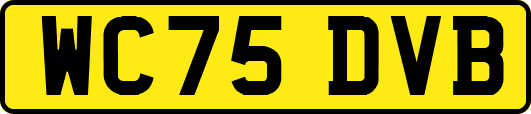 WC75DVB