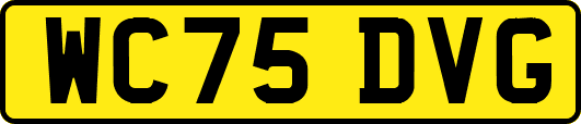 WC75DVG
