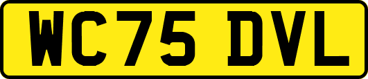 WC75DVL