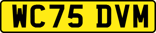 WC75DVM