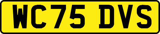 WC75DVS