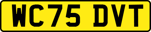 WC75DVT