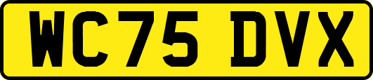 WC75DVX