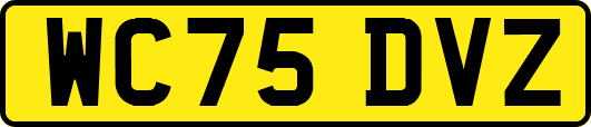 WC75DVZ