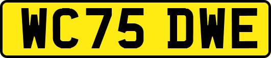 WC75DWE