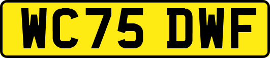 WC75DWF