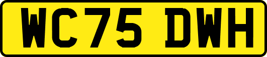 WC75DWH