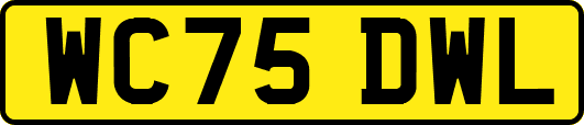 WC75DWL