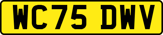 WC75DWV