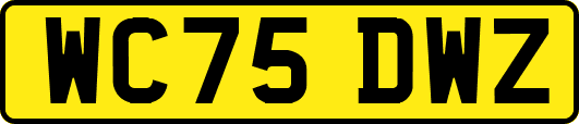 WC75DWZ