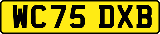 WC75DXB