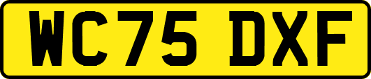 WC75DXF