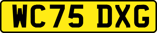 WC75DXG