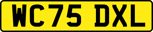 WC75DXL