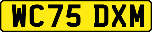 WC75DXM