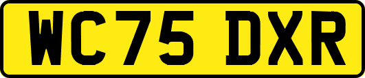 WC75DXR