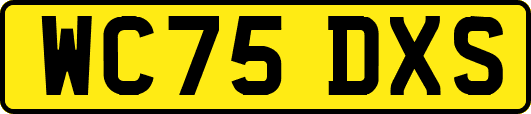 WC75DXS