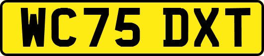 WC75DXT