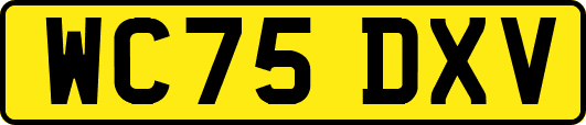 WC75DXV