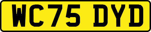 WC75DYD