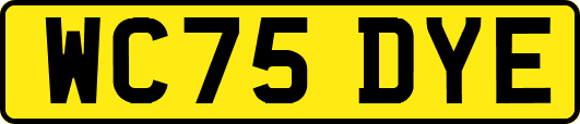 WC75DYE