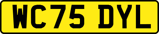 WC75DYL