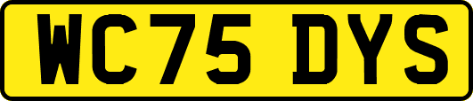WC75DYS