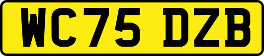 WC75DZB