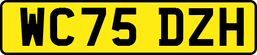 WC75DZH