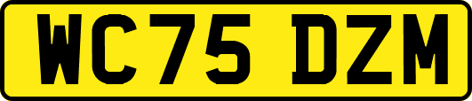WC75DZM