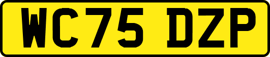 WC75DZP