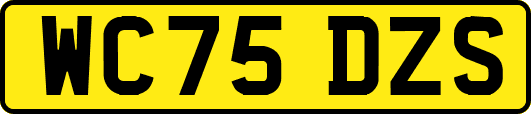 WC75DZS