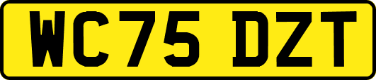 WC75DZT